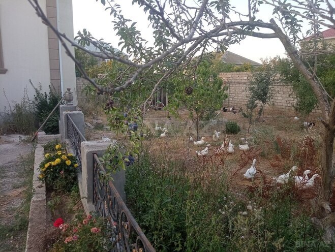 6 otaqlı həyət evi/bağ evi - Ramana q. - 288 m² (3)