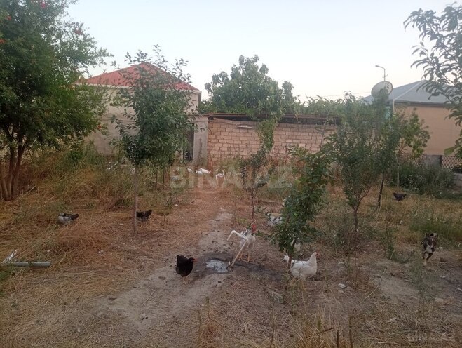 6 otaqlı həyət evi/bağ evi - Ramana q. - 288 m² (1)