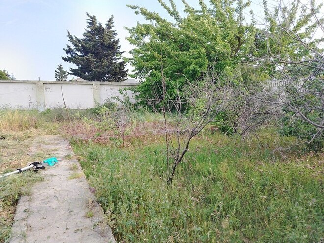 6 otaqlı həyət evi/bağ evi - Albalılıq q. - 400 m² (25)