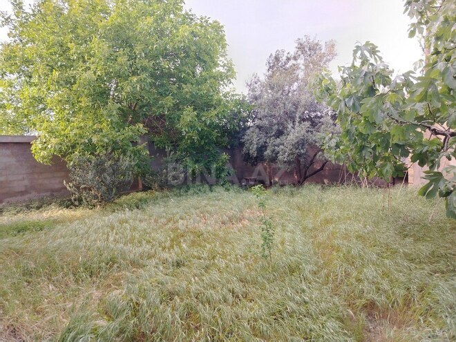 6 otaqlı həyət evi/bağ evi - Albalılıq q. - 400 m² (20)
