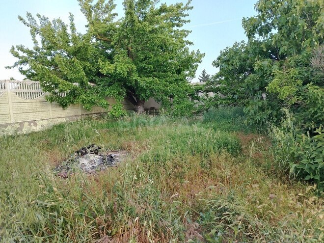 6 otaqlı həyət evi/bağ evi - Albalılıq q. - 400 m² (3)