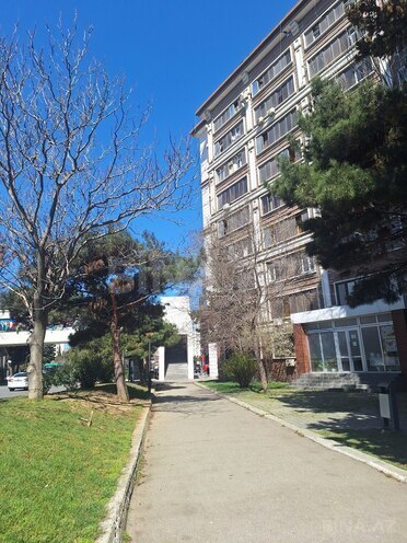 2 otaqlı köhnə tikili - 8-ci mikrorayon q. - 45 m² (2)