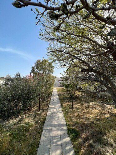 8 otaqlı həyət evi/bağ evi - Görədil q. - 328 m² (29)