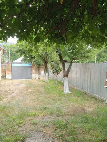 5 otaqlı həyət evi/bağ evi - İsmayıllı - 120 m² (6)