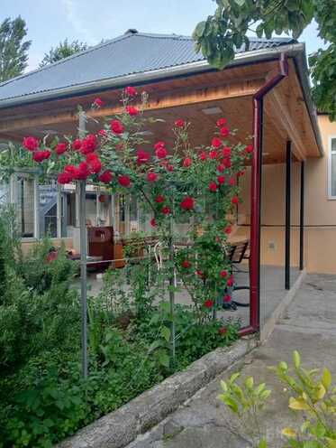 5 otaqlı həyət evi/bağ evi - İsmayıllı - 120 m² (4)