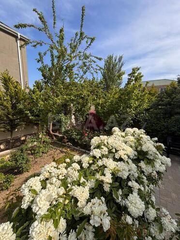 3 otaqlı həyət evi/bağ evi - Novxanı q. - 60 m² (8)