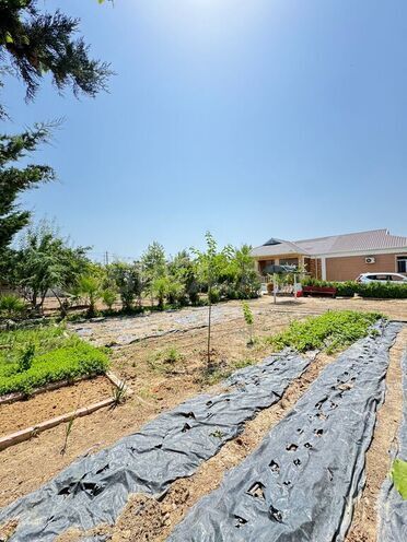 4 otaqlı həyət evi/bağ evi - Mərdəkan q. - 190 m² (28)