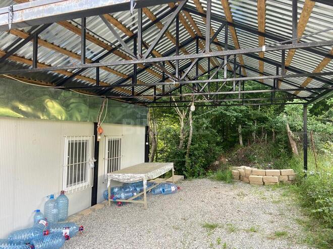 Torpaq - Şamaxı - 12 sot (17)