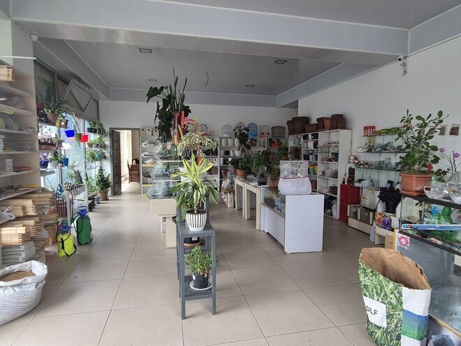 6 otaqlı həyət evi/bağ evi - Oğuz - 450 m² (10)