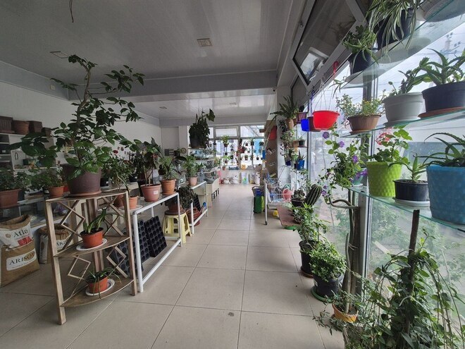 6 otaqlı həyət evi/bağ evi - Oğuz - 450 m² (11)
