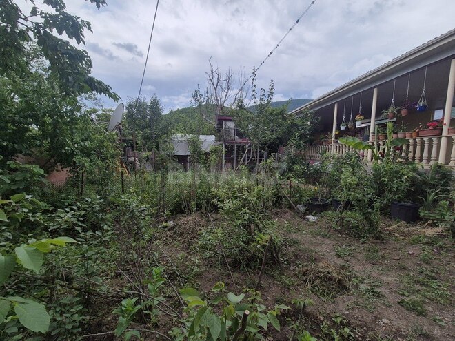 6 otaqlı həyət evi/bağ evi - Oğuz - 450 m² (19)