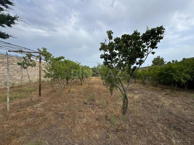 Продаётся  участок 11.5 сот, пос. Мардакан, photo 5 from 11