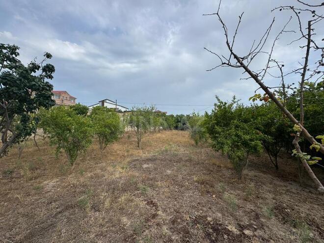 Продаётся  участок 11.5 сот, пос. Мардакан, photo 8 from 11