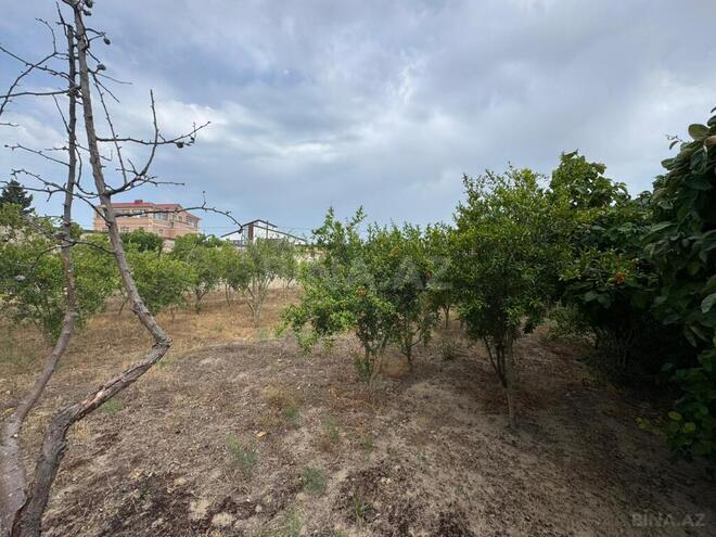 Продаётся  участок 11.5 сот, пос. Мардакан, photo 6 from 11