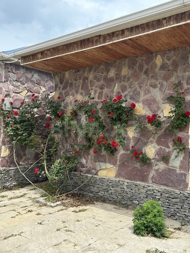 2 otaqlı həyət evi/bağ evi - Novxanı q. - 40 m² (3)