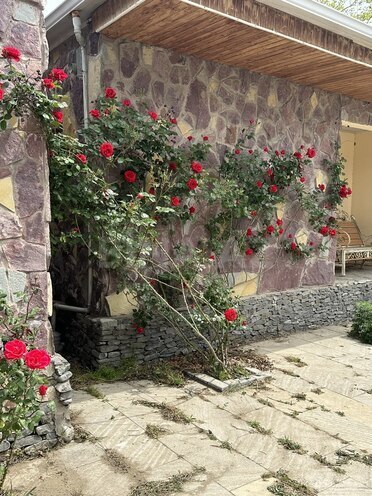 2 otaqlı həyət evi/bağ evi - Novxanı q. - 40 m² (2)
