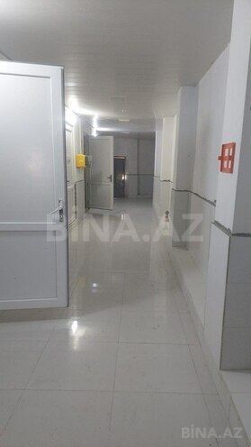 Obyekt - Xaçmaz - 16000 m² (2)