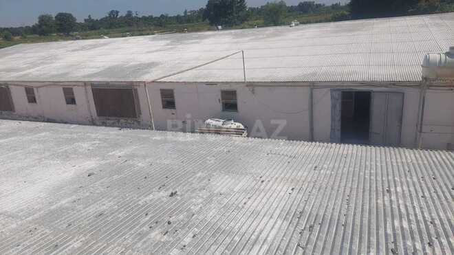 Obyekt - Xaçmaz - 16000 m² (7)