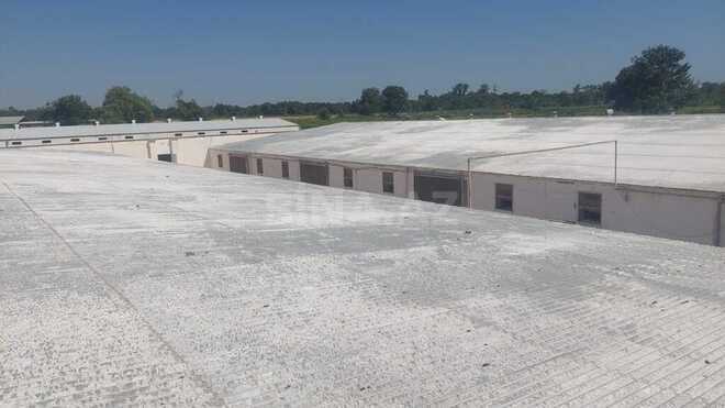 Obyekt - Xaçmaz - 16000 m² (8)