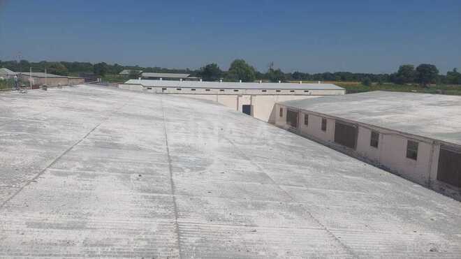 Obyekt - Xaçmaz - 16000 m² (6)