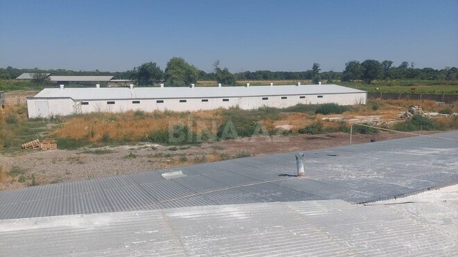Obyekt - Xaçmaz - 16000 m² (5)