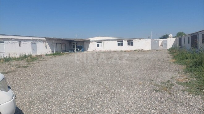 Obyekt - Xaçmaz - 16000 m² (28)
