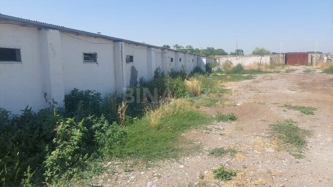 Obyekt - Xaçmaz - 16000 m² (9)