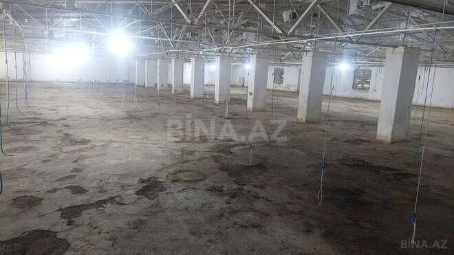 Obyekt - Xaçmaz - 16000 m² (16)