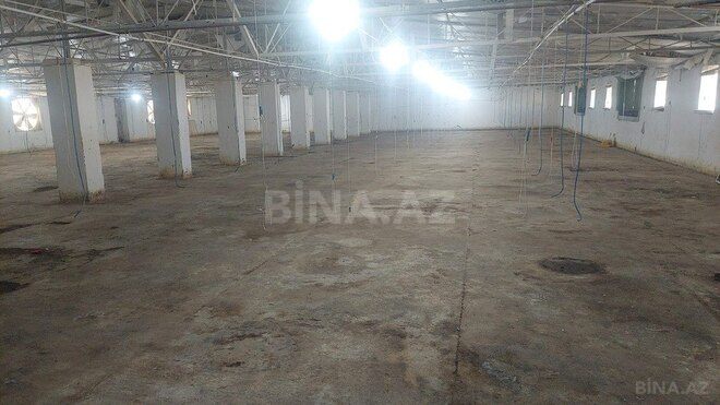 Obyekt - Xaçmaz - 16000 m² (20)