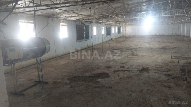 Obyekt - Xaçmaz - 16000 m² (18)