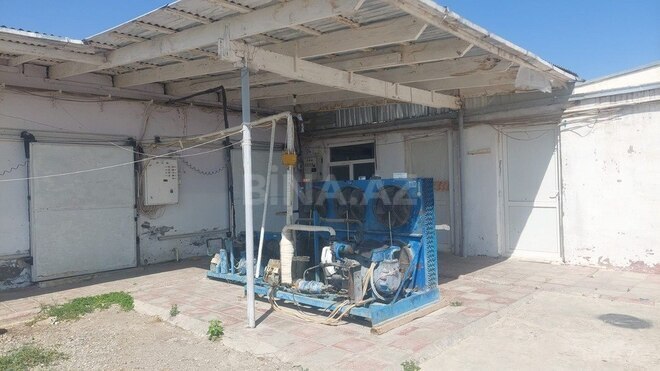 Obyekt - Xaçmaz - 16000 m² (23)