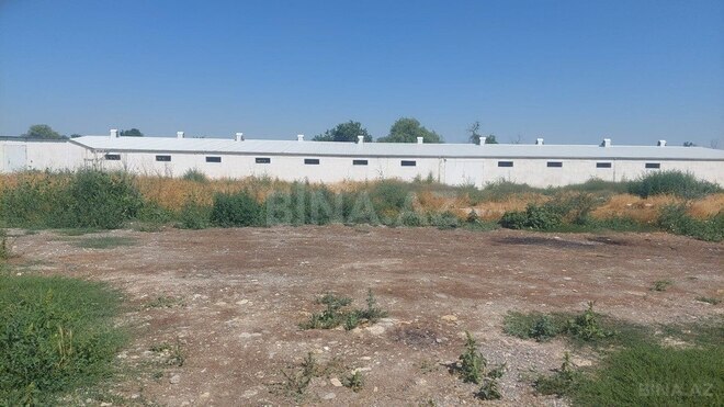 Obyekt - Xaçmaz - 16000 m² (10)