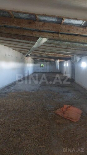 Obyekt - Xaçmaz - 16000 m² (11)