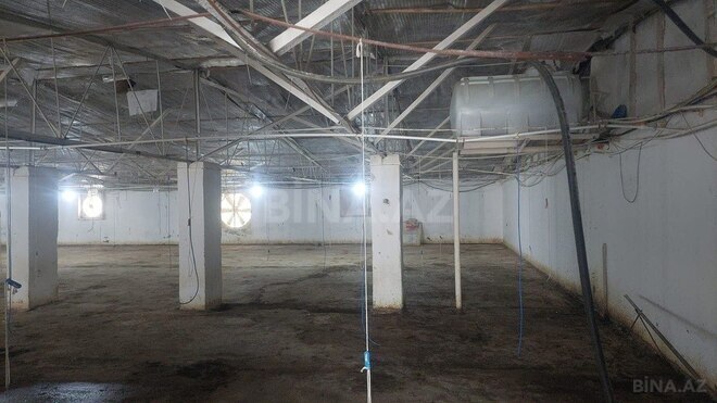 Obyekt - Xaçmaz - 16000 m² (19)