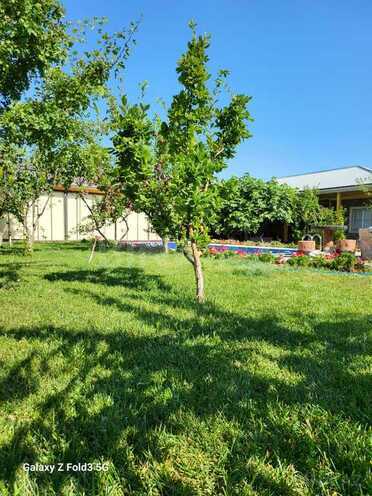 3 otaqlı həyət evi/bağ evi - Şabran - 300 m² (12)