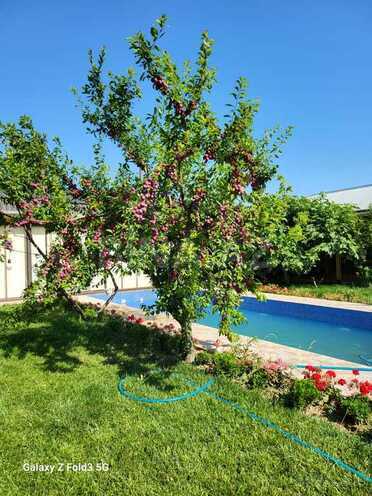 3 otaqlı həyət evi/bağ evi - Şabran - 300 m² (18)