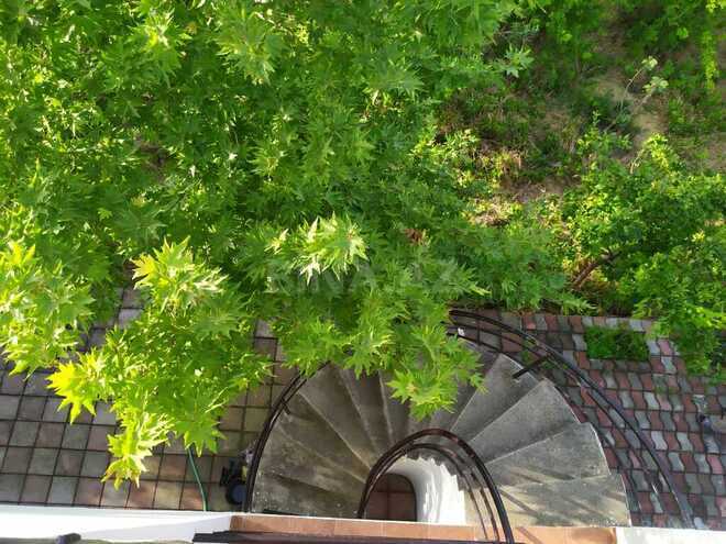 3 otaqlı həyət evi/bağ evi - Novxanı q. - 70 m² (4)