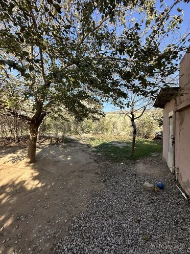 Torpaq - Mehdiabad q. - 6 sot (4)