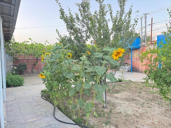 3 otaqlı həyət evi/bağ evi - Maştağa q. - 120 m² (15)