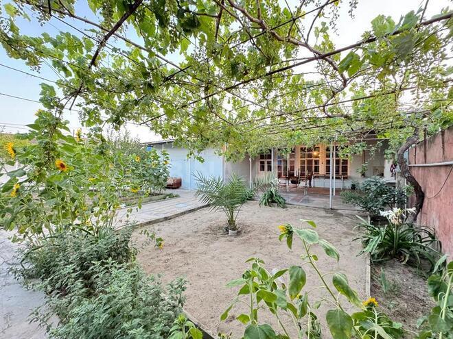 3 otaqlı həyət evi/bağ evi - Maştağa q. - 120 m² (8)