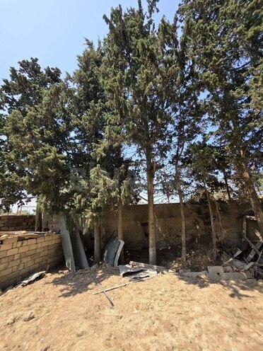 6 otaqlı həyət evi/bağ evi - Sumqayıt - 210 m² (14)