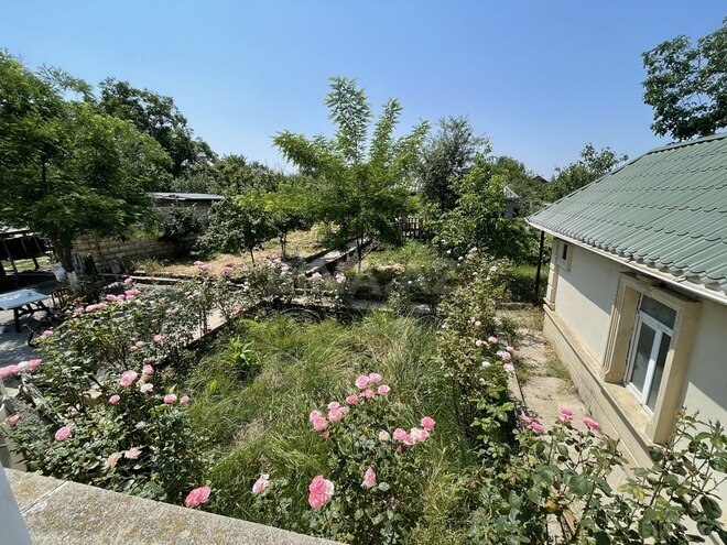 5 otaqlı həyət evi/bağ evi - İsmayıllı - 230 m² (2)