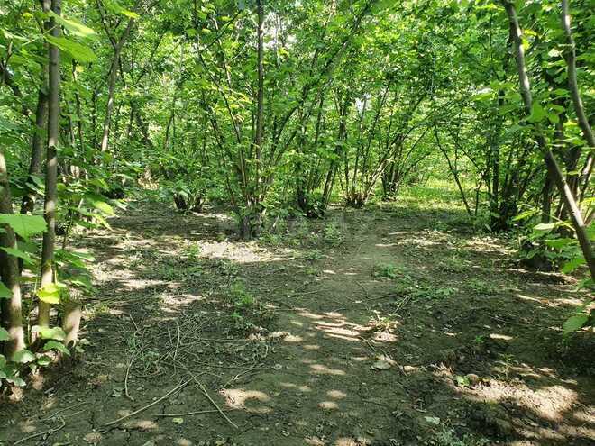 5 otaqlı həyət evi/bağ evi - Quba - 158.3 m² (10)