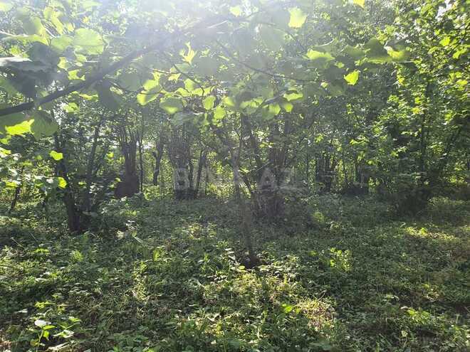 5 otaqlı həyət evi/bağ evi - Quba - 158.3 m² (7)