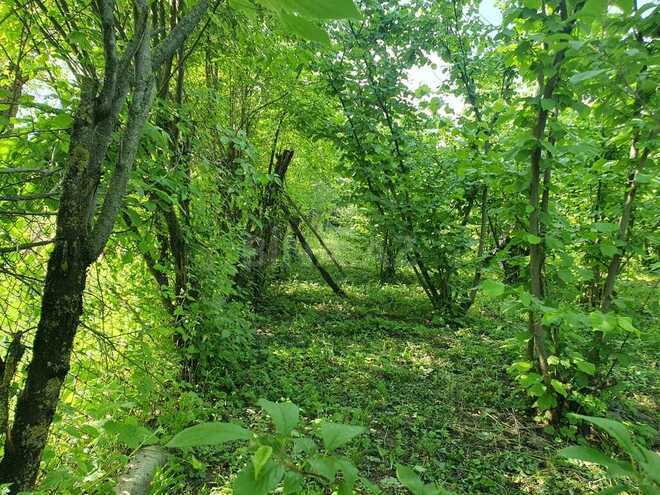 5 otaqlı həyət evi/bağ evi - Quba - 158.3 m² (6)