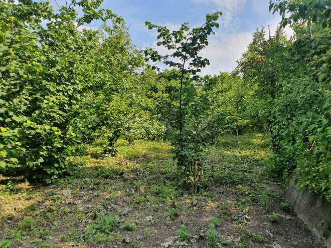 5 otaqlı həyət evi/bağ evi - Quba - 158.3 m² (8)