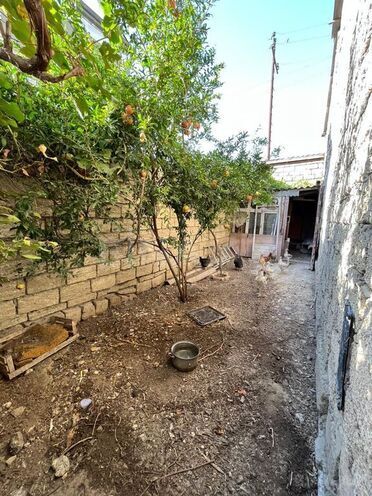 5 otaqlı həyət evi/bağ evi - Əhmədli q. - 200 m² (9)