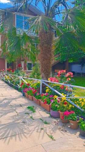 5 otaqlı həyət evi/bağ evi - Qəbələ - 300 m² (14)