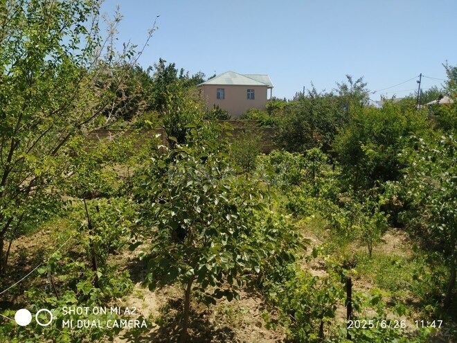 3 otaqlı həyət evi/bağ evi - Sumqayıt - 130 m² (13)