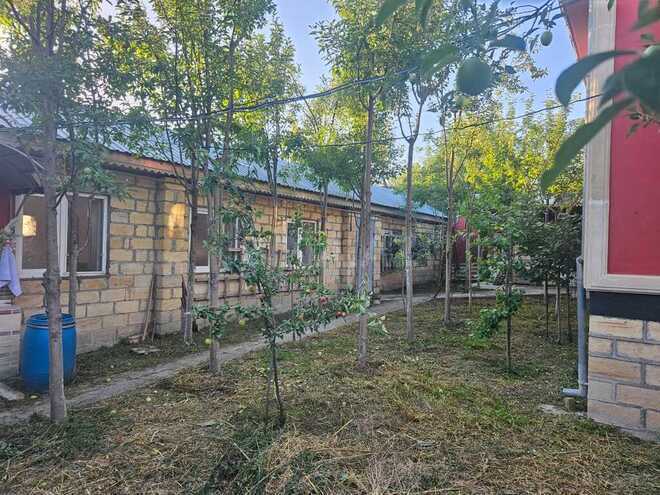 3 otaqlı həyət evi/bağ evi - Şəki - 130 m² (10)